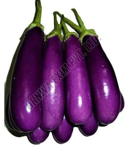Long Purple Brinjal