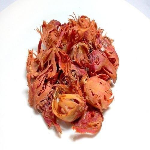 Mace Flower Javentri