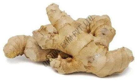 Organic Fresh Ginger