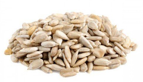 Edible Seeds