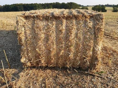 Customizable Wheat Straw Bale