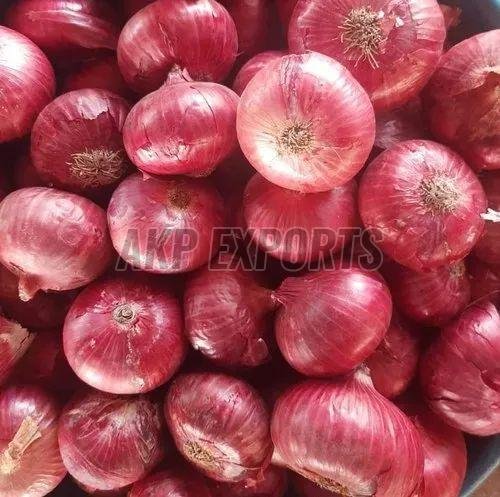Export Quality Fresh Red Onion