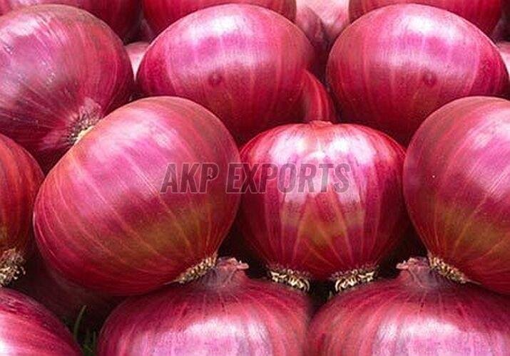Fresh Big Red Onion