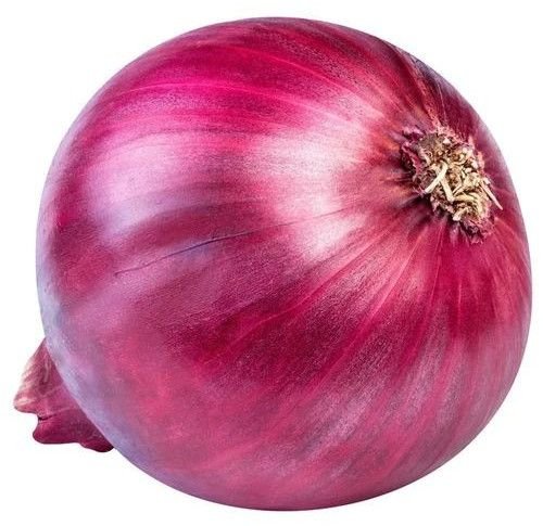 50mm Fresh Red Onion
