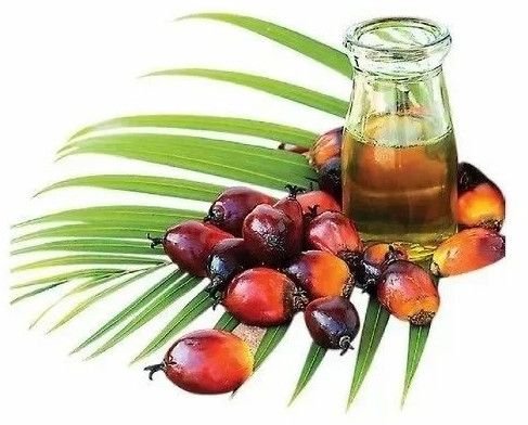 Palm Oil