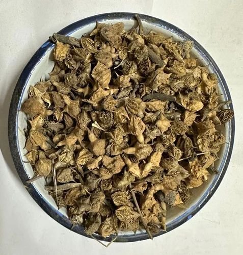 Gokhru Seed Gokhru Seed