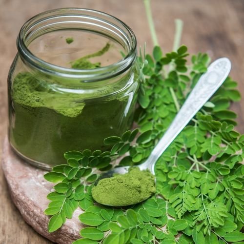 Moringa Extract