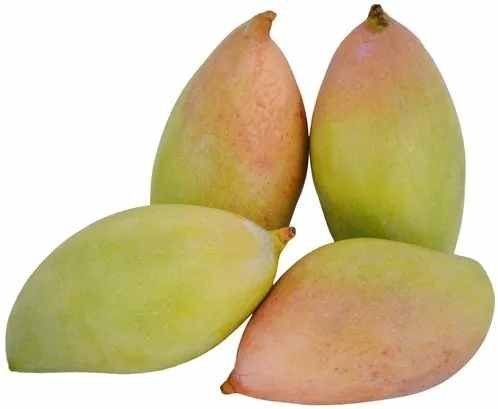 A Grade Fresh Totapuri Mango