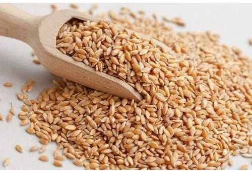 Indian Wheat Grain