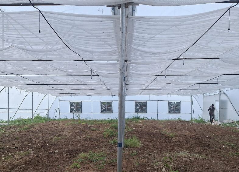 Aluminium Shade Net Structures