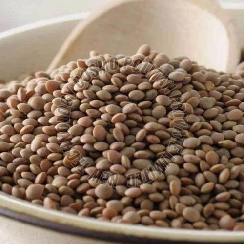 Brown Masoor Dal