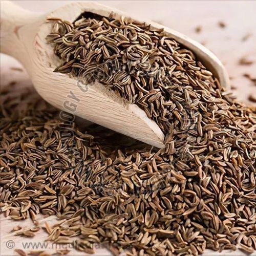 Cumin Seeds