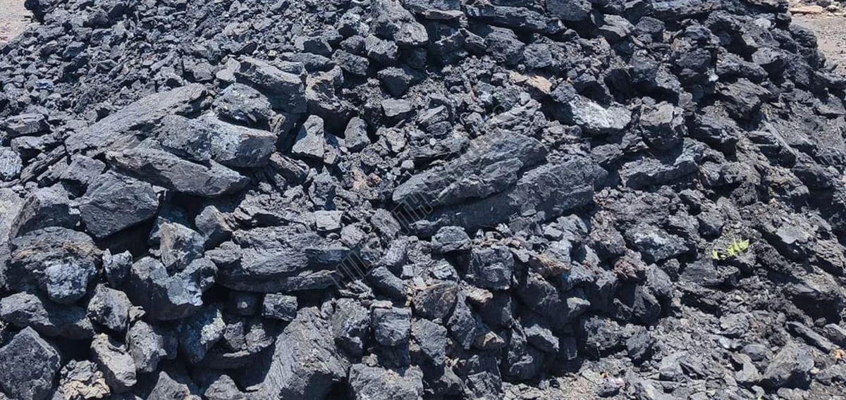 Thangadh Carbonaceous Shale Coal