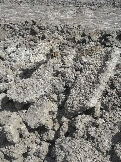 Unwashed Marine Gypsum