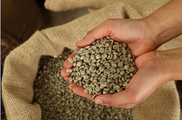 Coffee Seeds