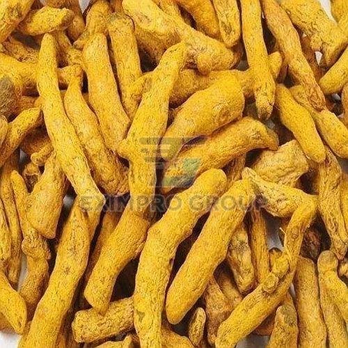 A Grade Turmeric Finger