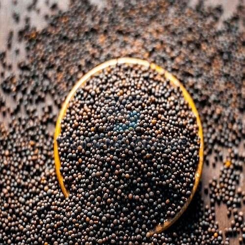 Black Mustard Seeds