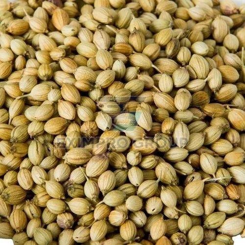 Coriander Seeds