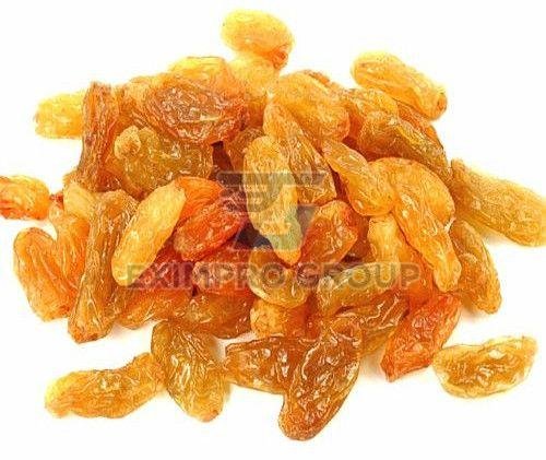 Golden Dried Raisins