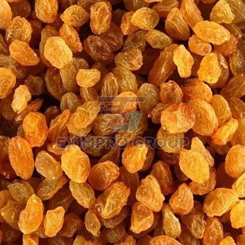 Golden Dry Grapes