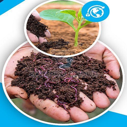 Vermicompost Fertilizer