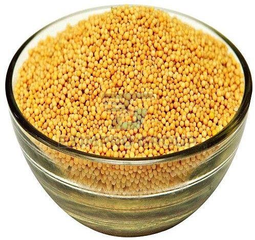 Yellow Mustard Seeds