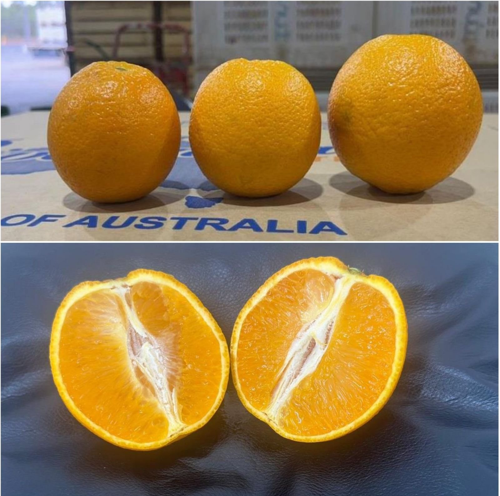 Riverinaland Citrus