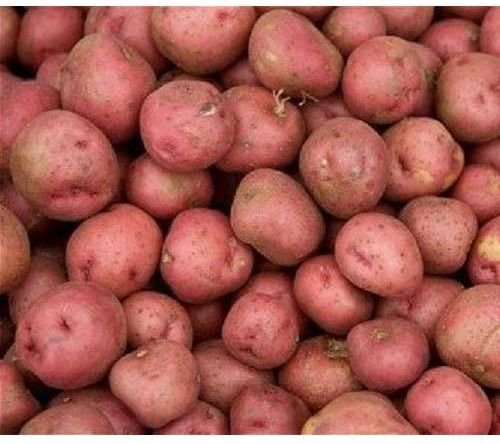 Fresh Lady Rosetta Potato