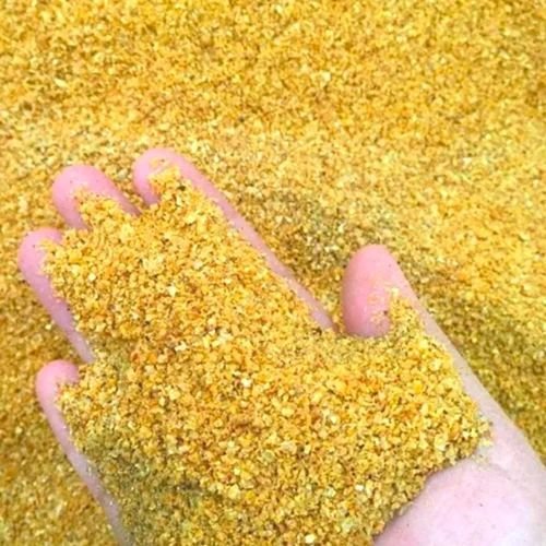 Corn DDGS