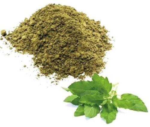 Dehydrated Tulsi Powder