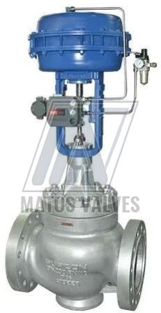 Globe Control Valve