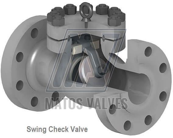 Swing Check Valve