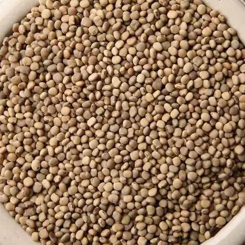 Industrial Grade Guar Seed