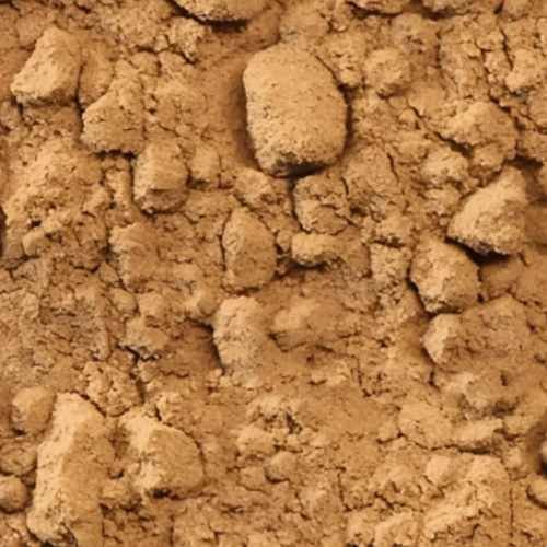 Psyllium Seeds Powder