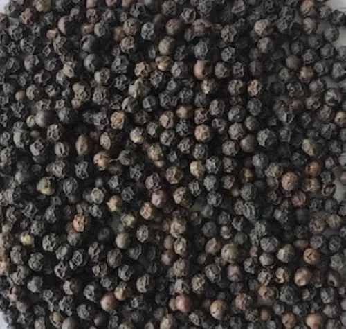 Tellicherry India Tgseb Black Pepper