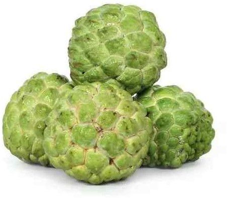Fresh Custard Apple