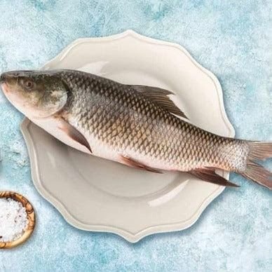 Frozen Rohu Bhakura Fish