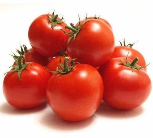 Fresh Juicy Tomatoes