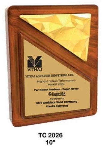10 Inch Premium Wooden Sales Excellence Award Plaque