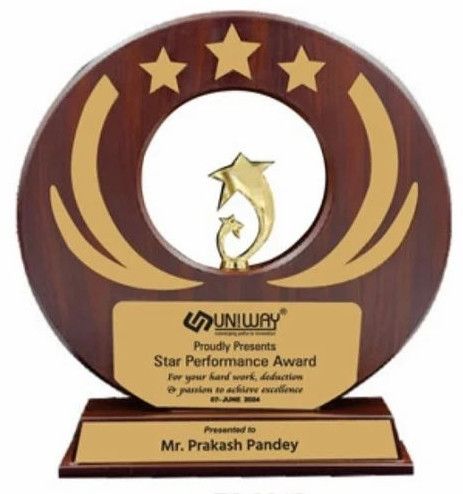 11 Inch Brown Wooden Star Performance Corporate Trophy