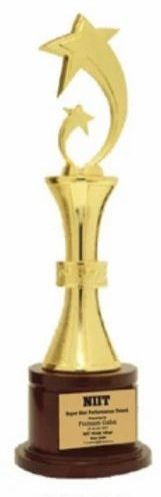 16 Inch Golden Metal Star Achievement Trophy