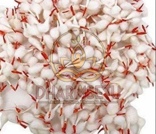 Cotton Wicks Rui Bati