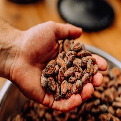 Dry Cocoa Beans