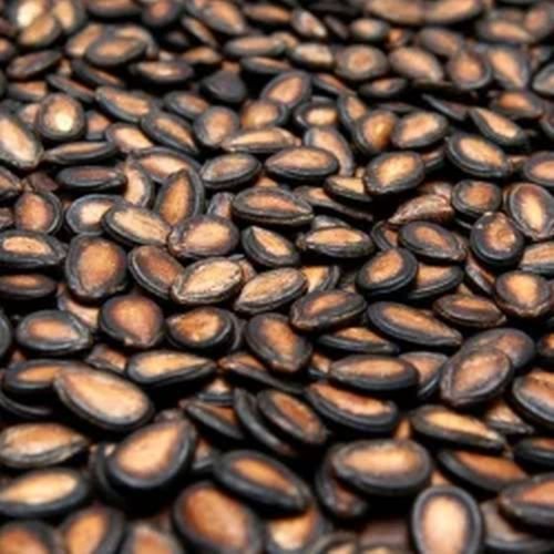 Watermelon Seeds