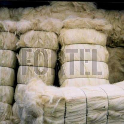 Light Yellow Sisal Fiber