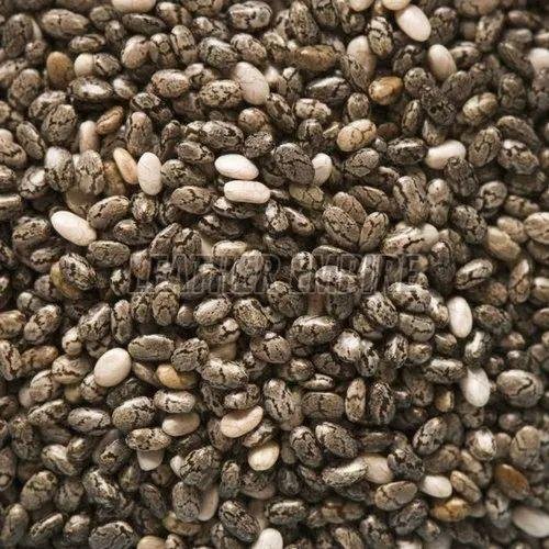 Oil Seeds