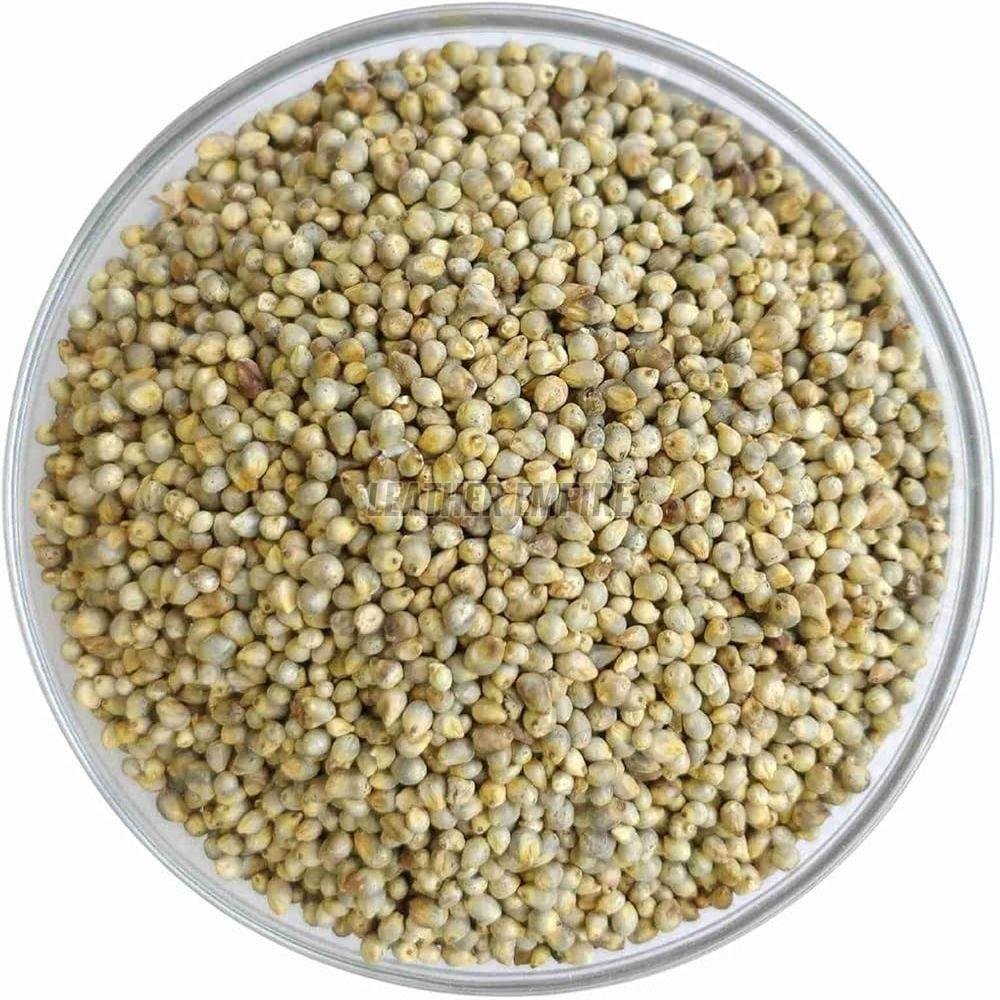 Millet Seeds