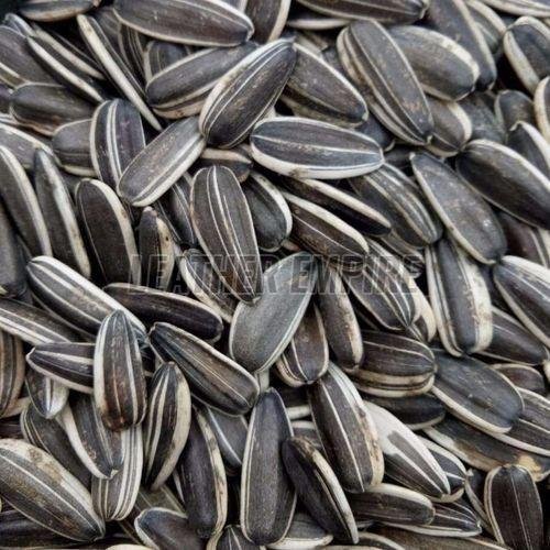 Sunflower Seeds Sunflower Seeds