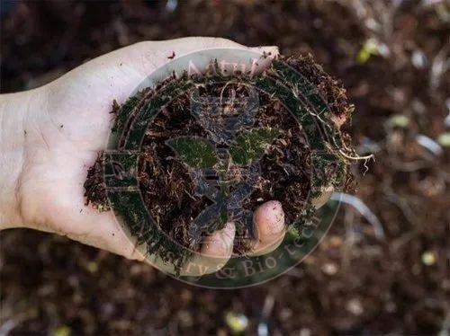 Organic Fertilizers and Manure