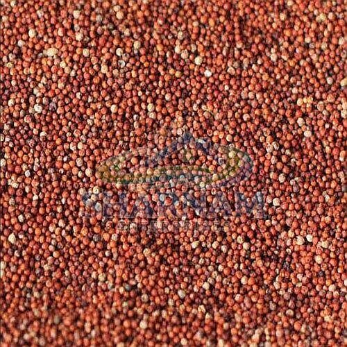 Millet Seeds